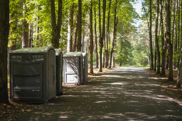 Best Affordable portable toilet rental  in Ionia, MI